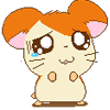 Hamtaro1.gif