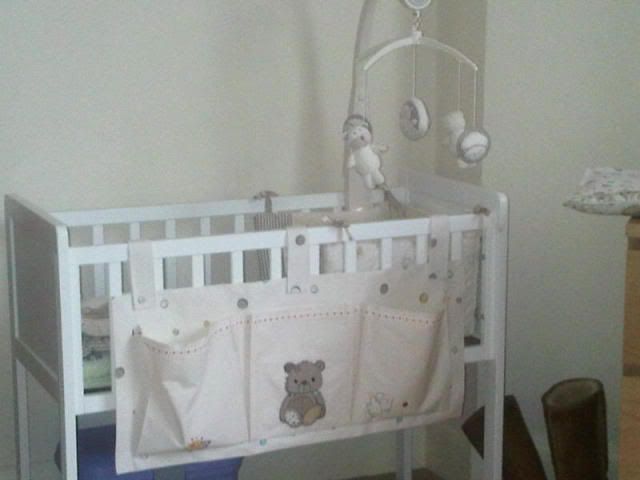 IMG00247-20110113-1208.jpg