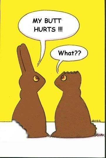 BUNNY.jpg