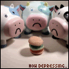cows.gif