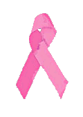 pinkribbon.gif