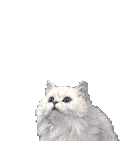 th_153720wukcuprv04.gif