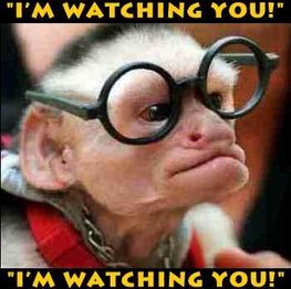 ImwatchingYou.bmp