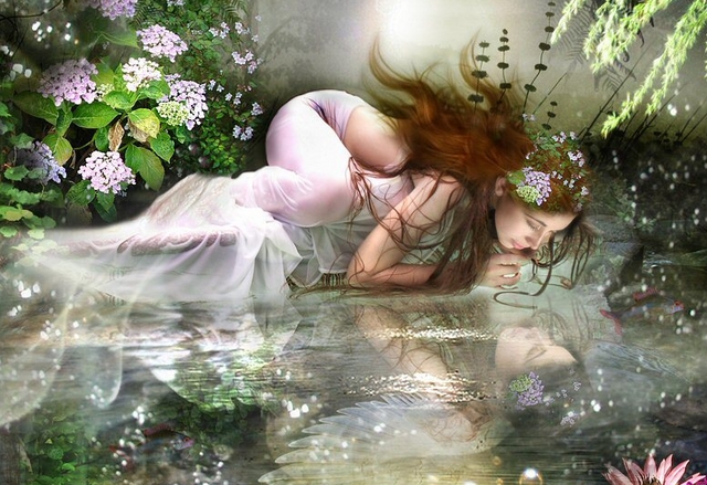 fairyreflections1pd7.jpg