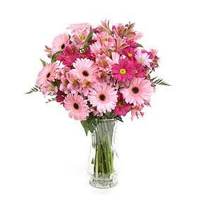 Argentina-Flowers-In-Pink-Enlarge.jpg