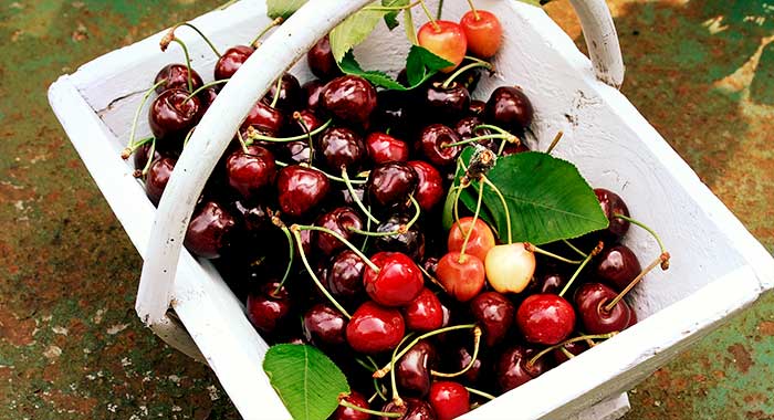 cherries.jpg