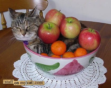 Fruitbowl.jpg