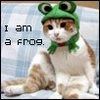 iamafrog1.jpg