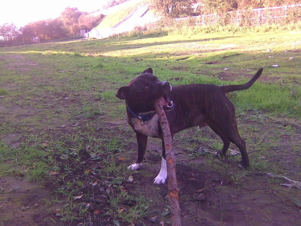 Image0764.jpg