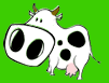 cow.gif