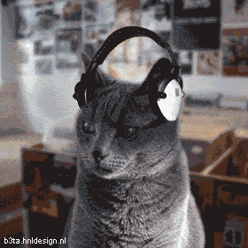 cat-1.gif