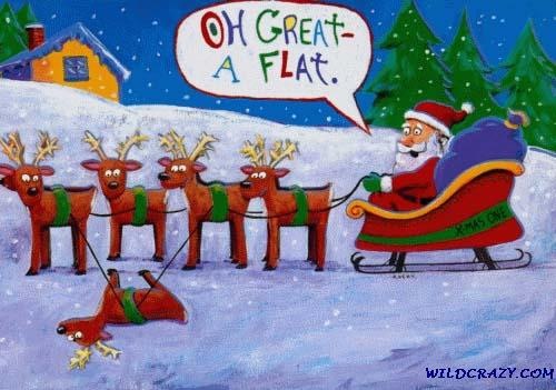 flatreindeer.jpg