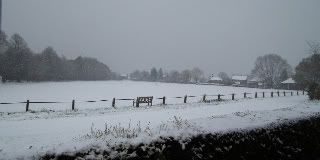 DSCF0505-1.jpg