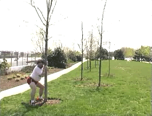 humpday5zb.gif