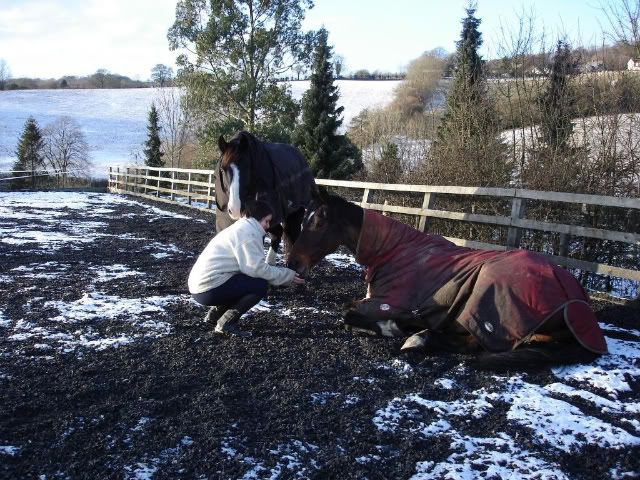 Relaxinginthesnow601_09.jpg