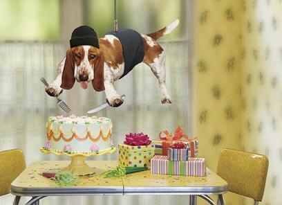 birthday_funny03.jpg