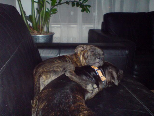 DSC00116.jpg