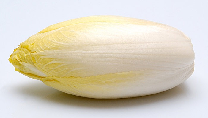 endive.jpg