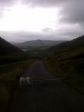 IMG-20120814-01055.jpg