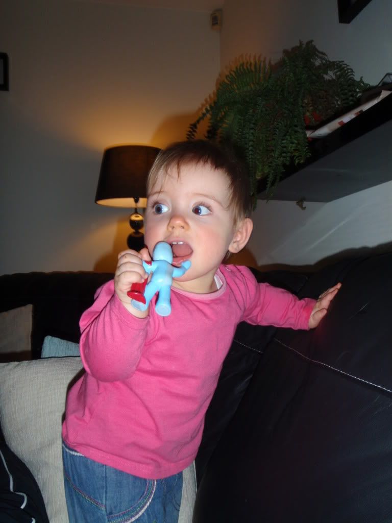 PB100288.jpg