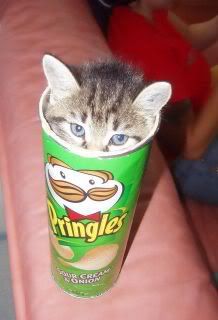 pringles.jpg