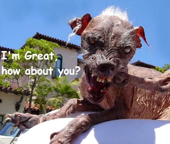 Uglydogmessage.jpg