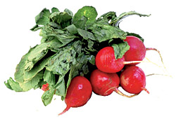 4_1_1_radishes.jpg