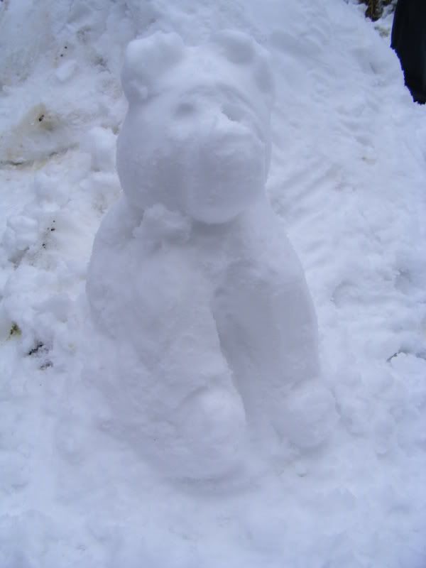 DSCF2284.jpg