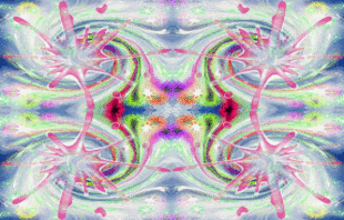 296116k9ll1xel7o.gif
