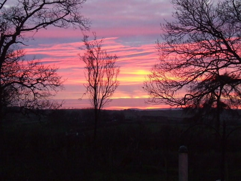 DSCF5494.jpg