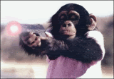 thmonyet8md.gif