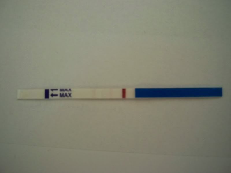 pregtes12dpo007.jpg