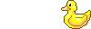 ththduck2.gif