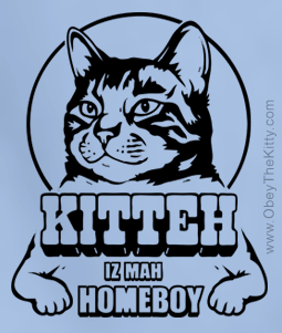 kitteh_homeboy.gif