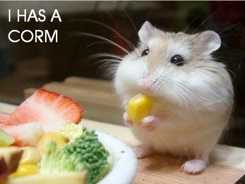 cromjq7.jpg