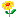 yellowflower_Q1JAUQ.gif