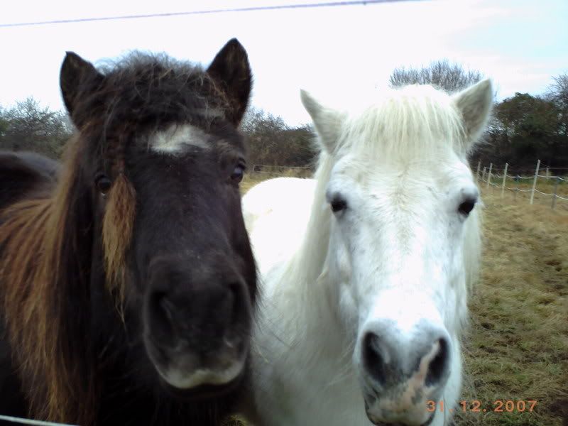 zoespictures010.jpg