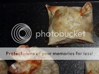 2010_1221281120100008.jpg