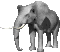 Animaux50.gif