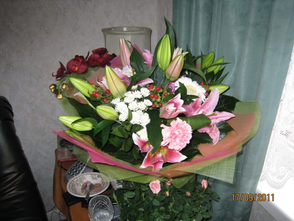 IMG_1135.jpg