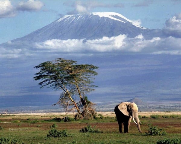 kili-cover-600x480.jpg