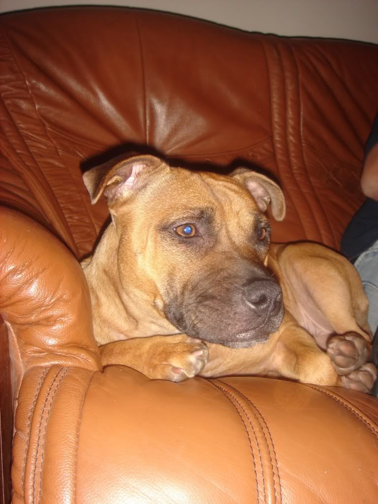 DSC06226.jpg