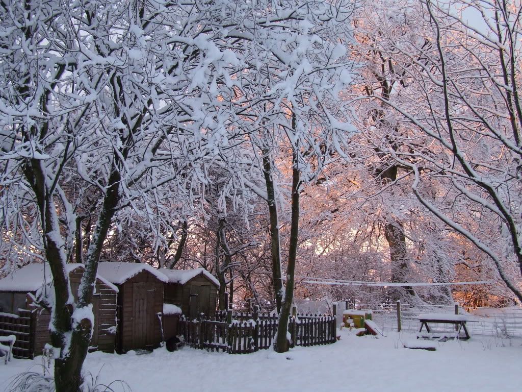 DSCF5627.jpg
