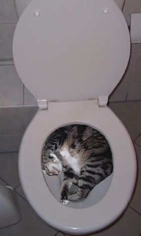 help.jpg