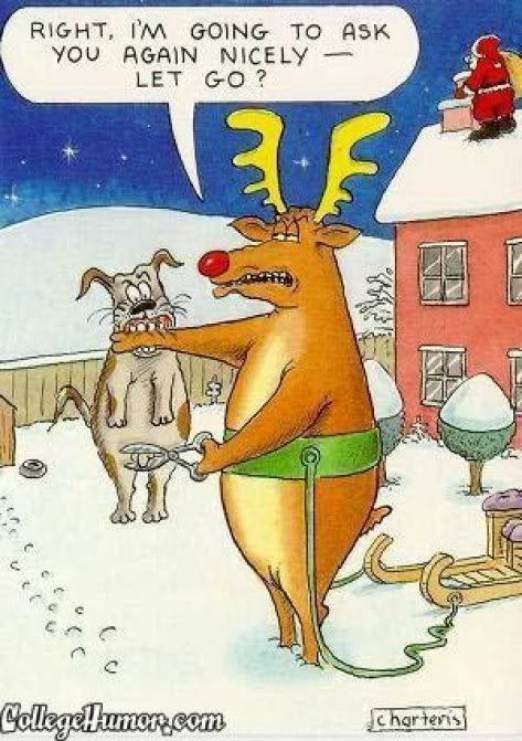 funnyxmasdeer.jpg