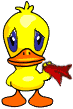 duck_baasa1-1.gif
