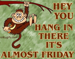 hey-you.-hang-in-there.-its-almost-friday_780.gif