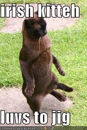 small_irish_kitteh.jpg