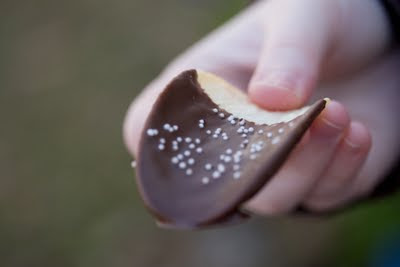 chocolate_pringle.jpg