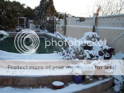 snow20054.jpg